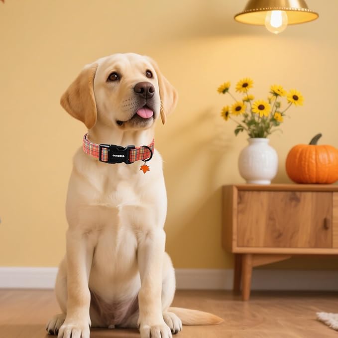 DOGWONG Fall Maple Dog Collar- Cute Classic Fall Autumn Flower Dog Collars Adjustable Fall Dog Collar for Small Medium Large Dogs L