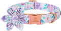 Lionheart Glory Dog Collar, Purple Dog Collar with Flower, Cute Floral Pattern Pet Collar Adjustable Dog Collar for Large Dogs