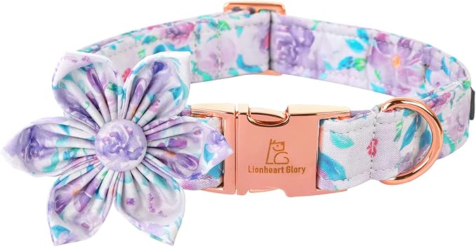 Lionheart Glory Dog Collar, Purple Dog Collar with Flower, Cute Floral Pattern Pet Collar Adjustable Dog Collar for Medium Dogs