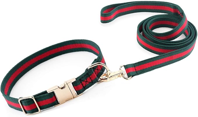 Premium Dog Collar, Cute Dog Collars Luxury Style, Durable Pet Collars and Dog Leash with Metal Buckle Safety for Medium Dogs
