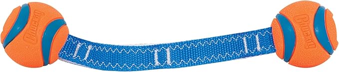 Chuckit! Ultra Duo Tug Dog Toy, Small Indoor and Outdoor Dog Ball for Dogs 0-20 Pounds