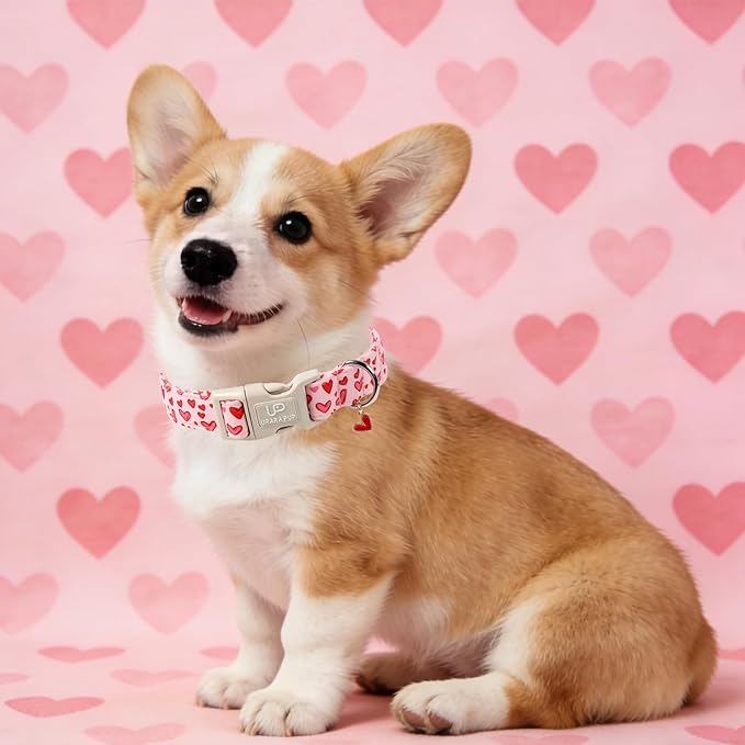 Valentine's Dog Collar, UP URARA PUP Pink Heart in Red Adjustable Pet Collar with Bowknot Charm, Wedding Dog Accessories for Small Medium Large Dogs