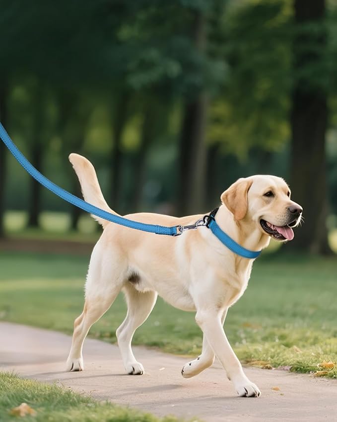 Joytale Reflective Dog Collar, Adjustable Nylon Pet Collar with Quick-Release Buckle for Medium Dogs, Sky Blue, M