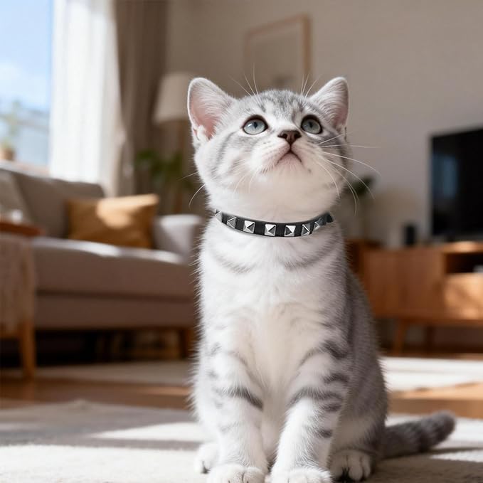 EXPAWLORER Leather Cat Collar - Adjustable Pet Collar with Rivet Spike for Girl Boy Cats, Punk Accessories with Bell & Durable D-Ring,Silver Square Nails, S