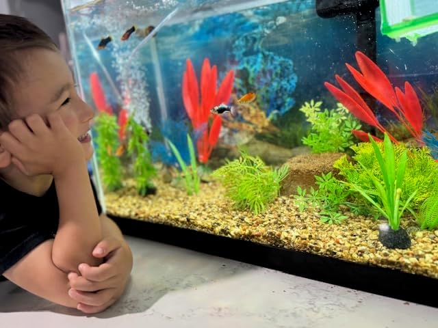 Aquarium Stone for Natural Water Clarification and Odor Removal Featuring Beneficial Bacteria (Medium)