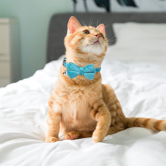Sliverdew 2 Pcs Velvet Cat Bow Tie Collar Breakaway Cat Collar with Bell Adjustable Bowtie Kitten Small Puppy Safety Collar Solid Color Set Pet Bow Tie Collar (Pink, Blue)