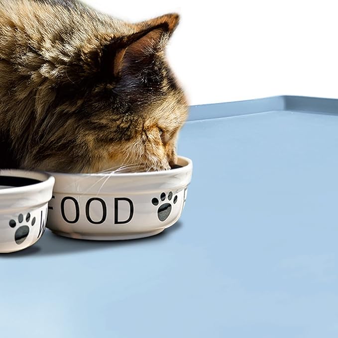Dog Food Mat,Silicone Waterproof Food Tray,Non Slip Pet Bowl Mats Placemat,0.6" Raised Edge,Suitable for Most Small and Medium Sized Pets,18.5" x 11.5"