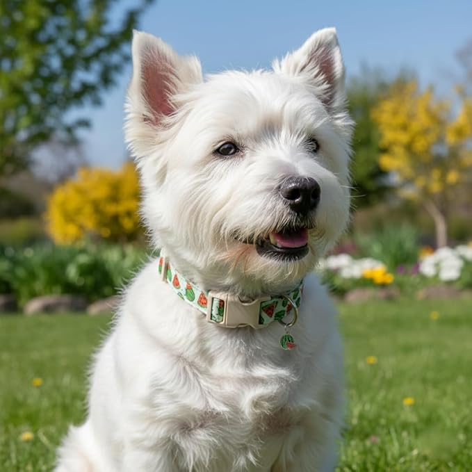 Dog Collar for Small Dogs, Summer Dog Collar with Watermelon Print and Charm, Adjustable Pet Collar for Girl Boy Dogs