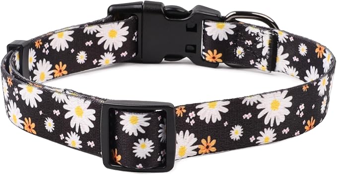 QQPETS Adjustable Soft Dog Collar: Print Flower Pink Multicolor Cute Patterns for XS Small Medium Large Pet Girl Boy Puppy Walking Running Training (M, White Daisy)