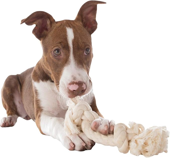 Mammoth Pet Products Dog Flossy Chews 100-Percent Cotton White Rope Bone, Medium, 12-Inch (10004V), All Breed Sizes