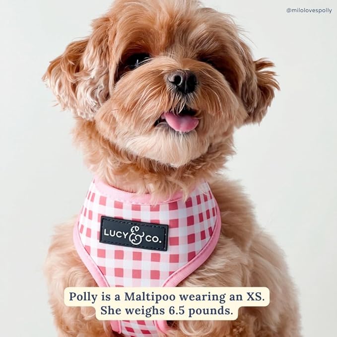 Lucy & Co. Cute Reversible Dog Harness Walking Halter - Best Designer Pet Harnesses for XS - XL Dogs - Padded Adjustable Vest for Easy Walking (Large, Ballet Bows - White & Pink Bows)
