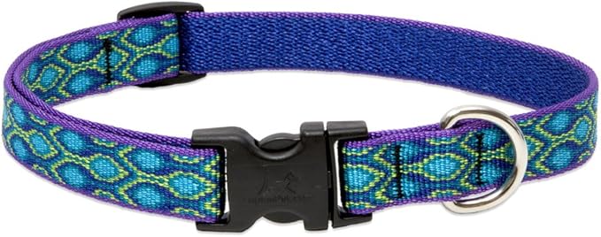 Lupine Small Dog Collar 3/4" Wide Rain Song Adjusts from 9" to 14"