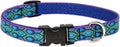 LupinePet Originals 3/4" Rain Song 13-22" Adjustable Collar for Medium and Larger Dogs
