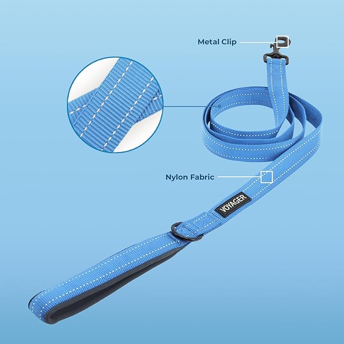 Best Pet Supplies Voyager Reflective Dog Leash or Collar with Neoprene Handle, for Small, Medium, and Large Breed Puppies, Cute and Heavy Duty for Walking, Running and Training - Baby Blue (Leash), M