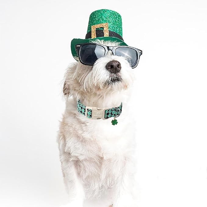 St Patricks Day Dog Collar for Giant Large Dogs - Green Lucky Shamrock Boy Dog Collars, Irish Clover Pattern Black Male Puppy Collar with Quick Release Buckle XL