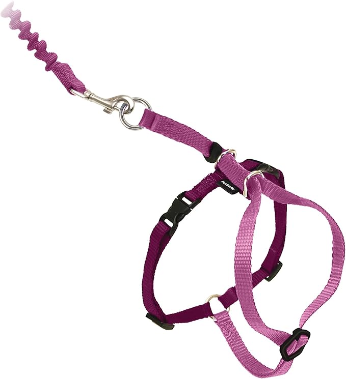 PetSafe Come With Me Kitty Cat Harness & Bungee Leash - Comfortable Cat Harness with Lightweight Bungee Leash for Outdoor Fun - More Secure Walks - Large - Dusty Rose