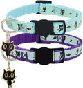 2 Pack Glow in The Dark Cat Collar with Bell Breakaway Safety Cat Puppy Collars with Pendant Purple and Light Blue
