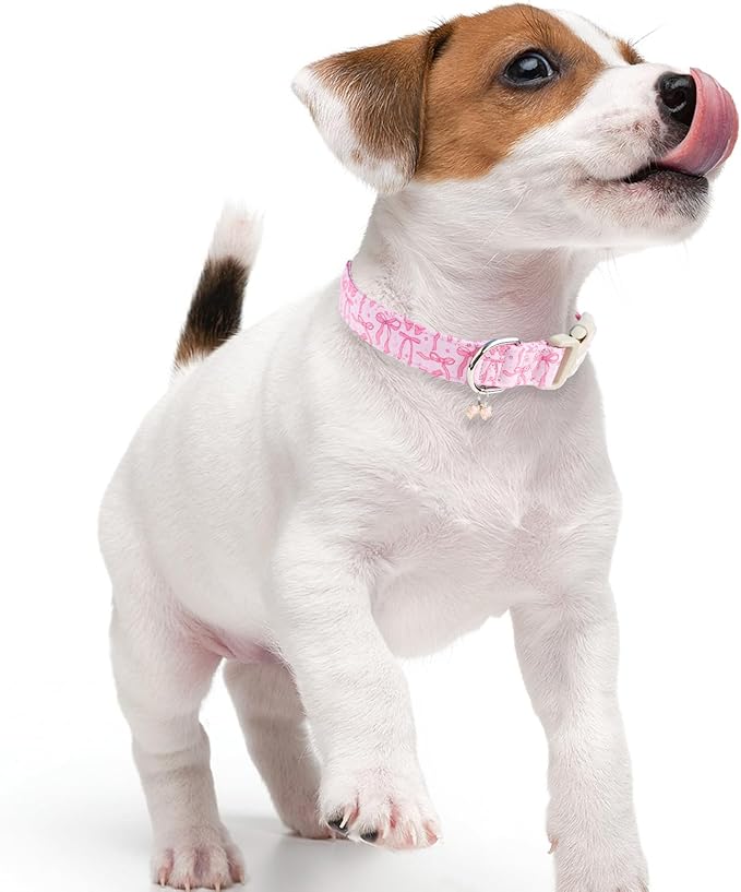 Faygarsle Cute Pink Bow Pattern Dog Collar for Summer Spring DesignSmall Medium Large Dogs L