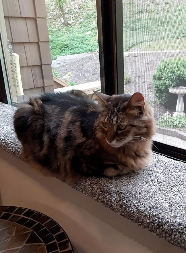 Purrched Cat Window Perch (29 Inch)