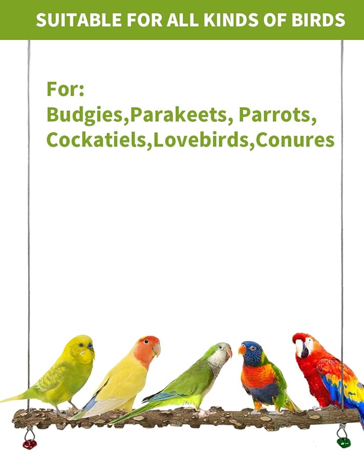 FlidRunest Bird Parrot Swing Toy, Natural Pepper Wood Bird Perch Stand, Hanging Bird Window Ceiling Swing Perch for Parrot Parakeet Conure Cockatiel Small Birds