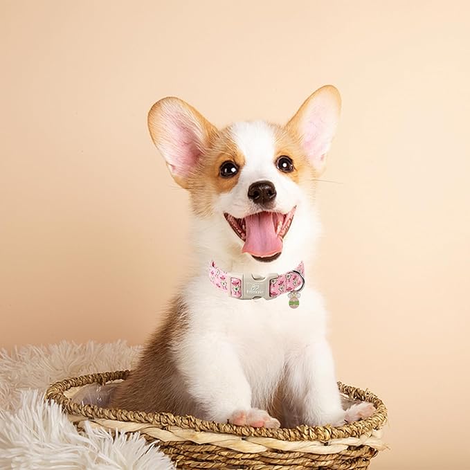 Easter Dog Collar for Medium Dogs - Cowgirl Chick Easter Collars for Dogs, Pink Girl Dog Collar, Adjustable Spring Holiday Pet Collars with Quick Release Buckle M