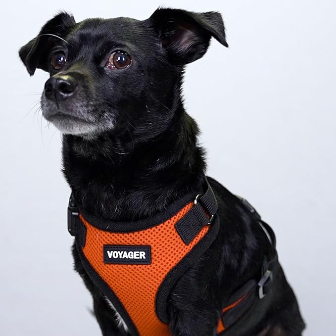 Voyager Step-in Pet Harness - All Weather Mesh, Adjustable Step in Harness for Cats and Dogs by Best Pet Supplies - Orange/Black Trim, L