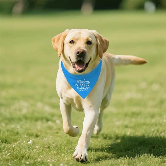 Funny Valentine's Day Dog Bandana for Dogs Boys Puppies, Mommy is My Valentine Dog Bandana, Cute Holiday Party Pet Scarf Accessories, Blue Valentines Birthday Gifts for Dogs Mom, New Pets Gifts
