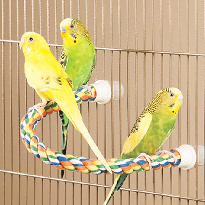 JW Pet Comfy Perch For Birds Flexible Multi-color Rope, Medium - 21" Length