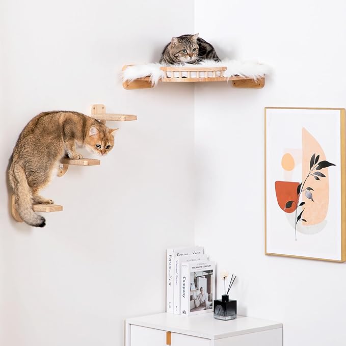 Cat Shelves - 3-Step Wall Climbing Set with Plush Bed, Ideal for Large Cats - RubberWood