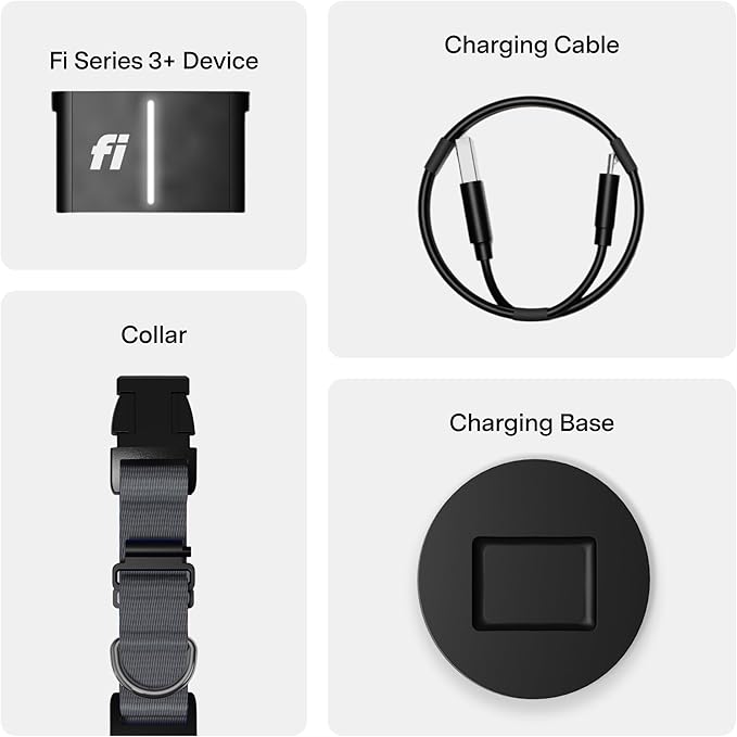 New Fi Series 3+ Smart Dog Tracker Collar [6 Month Membership Included] GPS Tracker for Dogs with Health & Behavior Monitoring, Escape Alerts, Waterproof, LED, Apple Watch Compatible (Gray, Large)