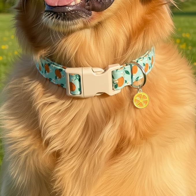 Dog Collar, Spring Summer Dog Collar with Orange Print and Charm, Cute Spring Summer Fruit Collar with Soft & Breathable Fabric, Adjustable Pet Collar for Medium Dogs