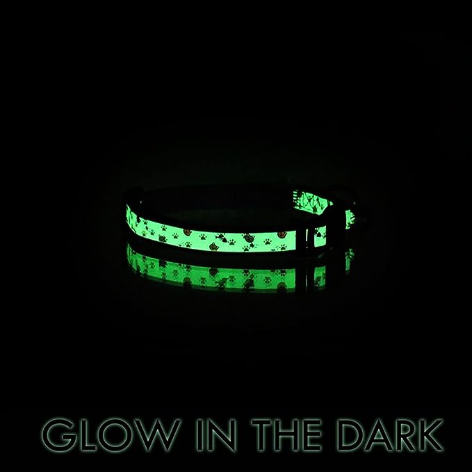 Pawtitas Glow in The Dark Cat Collar with Breakaway Safety Buckle & Bell Adjustable Kitten Collar, Grey