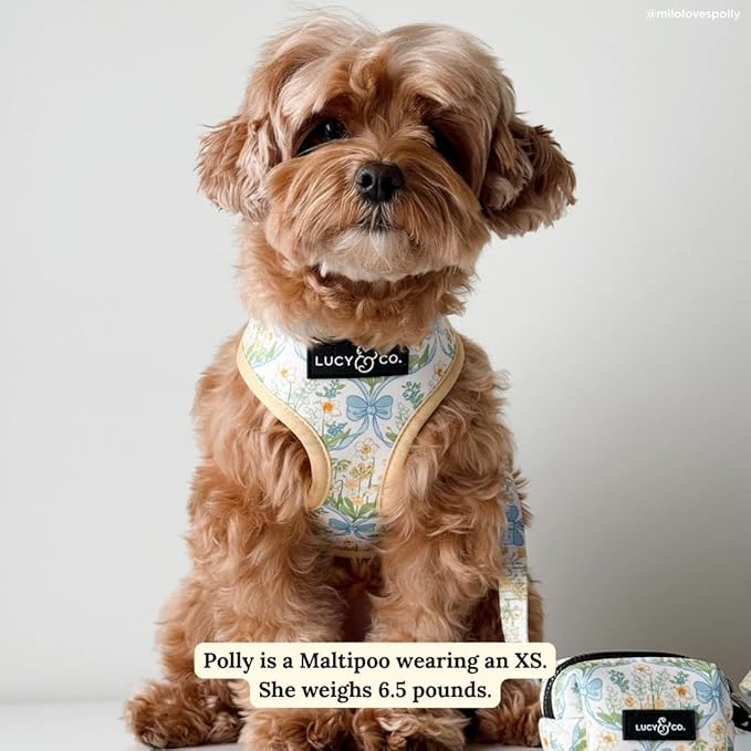Lucy & Co. Sunshine and Daffodils Reversible Dog Harness, Adjustable Comfort Fit with Dual Leash Attachments, Medium