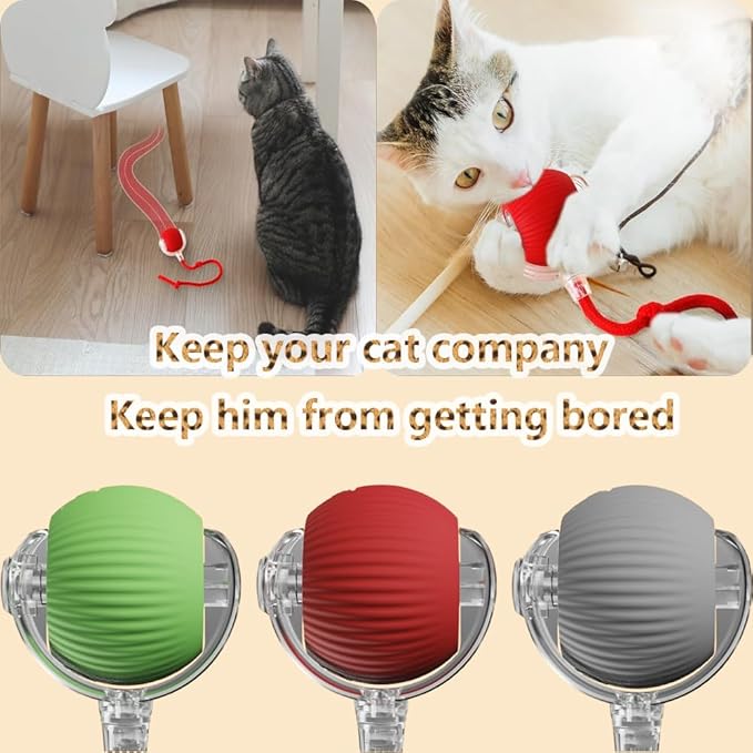 Interactive Cat Toys for Indoor Cats, Agility Move Cat Balls,Motion Activated Cat Balls, Cat Toys for Bored Indoor Cats(3 pcs Colors)