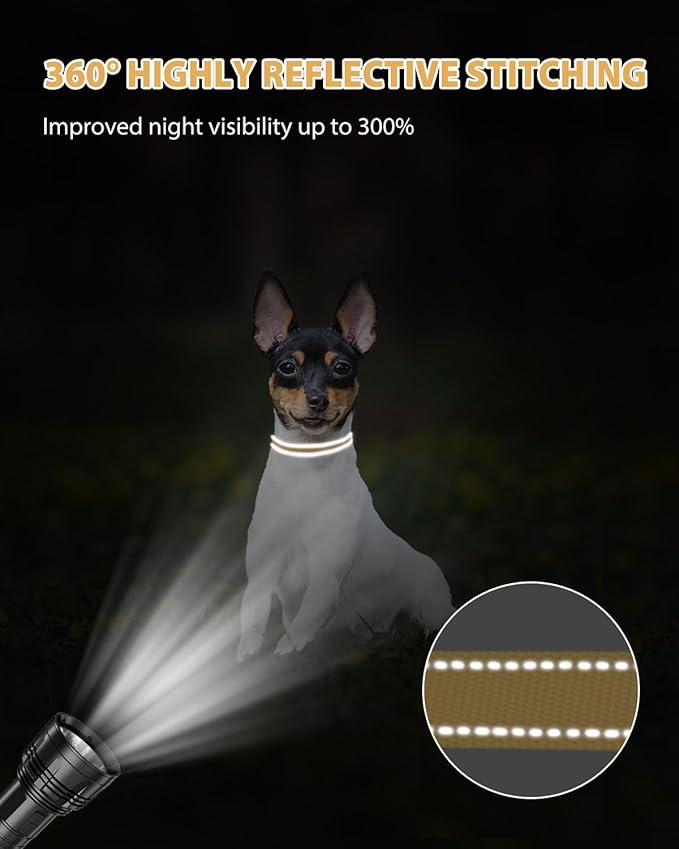 Joytale Small Dog Collar, Reflective and Adjustable Nylon Collar with Quick-Release Buckle, Lightweight No-Choke Design for Puppy and Extra Small Dogs, Khaki, XS