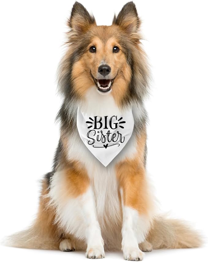 Big Sister Dog Bandana, White Pet Triangle Scarf Accessories, Pet Bandana for Large Dogs, Baby Announcement Dog Bandanas (L)