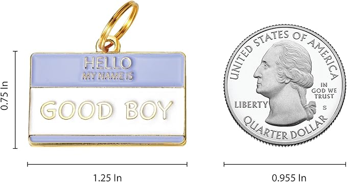 Two Tails Pet Company Personalized 'Good Boy' Pet ID Tag & Collar Charm - Custom Engraved Dog Tags for Pets - Luxury Brass, Gold Plating