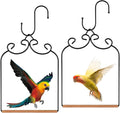 2 Pack Hummingbird Swings and Perches, Metal Frame Bird Swing with 2 Replacement Wooden Dowels and Iron S Hooks, Black Bird Swing for Hanging Indoor, Outdoor, Trunk, Lawn, Patio, Garden(Black)