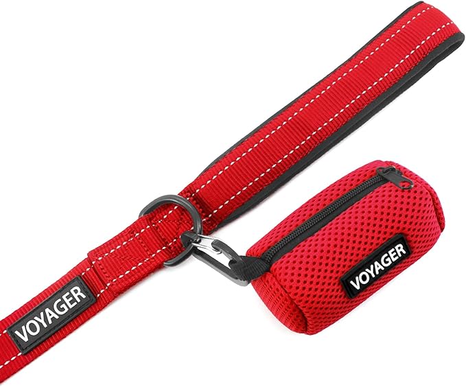 Best Pet Supplies Voyager Reflective Dog Leash or Collar with Neoprene Handle, for Small, Medium, and Large Breed Puppies, Cute and Heavy Duty for Walking, Running and Training - Red (Leash), M
