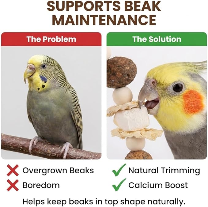 Bird Swing Toy with Cuttlebone & Corn Husks - Hanging Parrot Perch with Chewing Pine Cones - Cage Shredding Accessories for Cockatiels Parakeets Conures Budgies