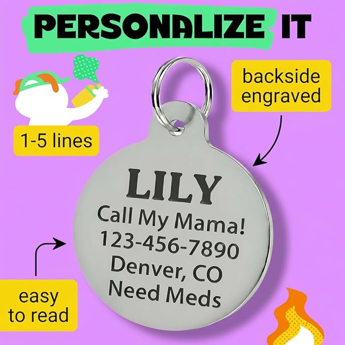 Bad Tags Personalized Dog and Cat ID Tags in 25+ Designs and 2 Sizes - 5 Lines of Custom Engraved Text - Funny Cute Personalized Pet Tags (Silently Judging - Red, Large (1.25 inch))