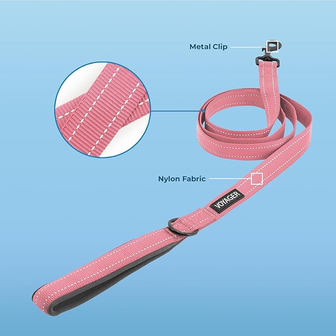 Best Pet Supplies Voyager Reflective Dog Leash or Collar with Neoprene Handle, for Small, Medium, and Large Breed Puppies, Cute and Heavy Duty for Walking, Running and Training - Soft Pink (Leash), M
