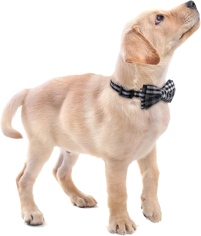 Faleela Soft &Comfy Bowtie Dog Collar,Detachable and Adjustable Bow Tie Collar,for Small Medium Large Pet (Small (Pack of 1), Black and Whit)