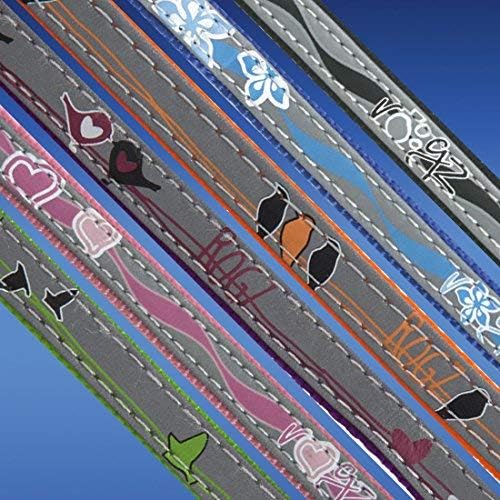 Rogz Reflective Cat Collar with Breakaway Clip and Removable Bell, Fully Adjustable to fit Most Breeds, Orange Bird Design