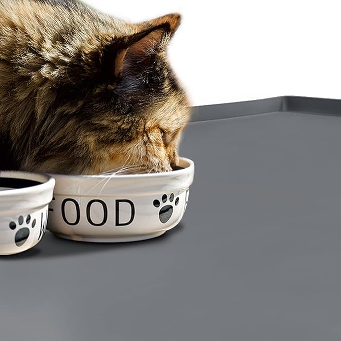 Dog Food Mat,Silicone Waterproof Food Tray,Non Slip Pet Bowl Mats Placemat,0.8" Raised Edge,Suitable for Most Small and Medium Sized Pets,28" x 18"
