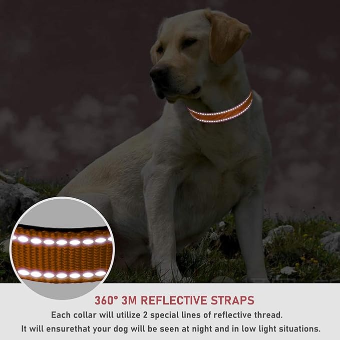 Reflective Dog Collar with Buckle Adjustable Safety Nylon Collars for Small Medium Large Dogs, Orange M