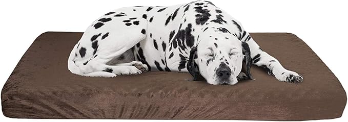 Orthopedic Dog Bed - 2-Layer Pet Bed for Floor, Kennel, or Crate with Removable Washable Cover - 46x27 Dog Bed for Large Dogs by PETMAKER (Brown)