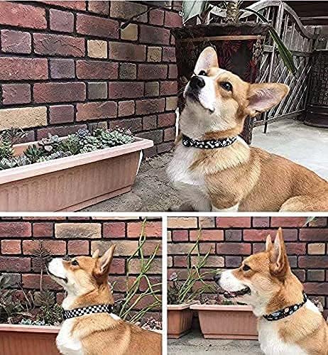 Roses&Poetry Dog Collar with Colourful Star Patterns, Adjustable Durable Puppy Collars for Small Medium Large Dogs (Star-S)