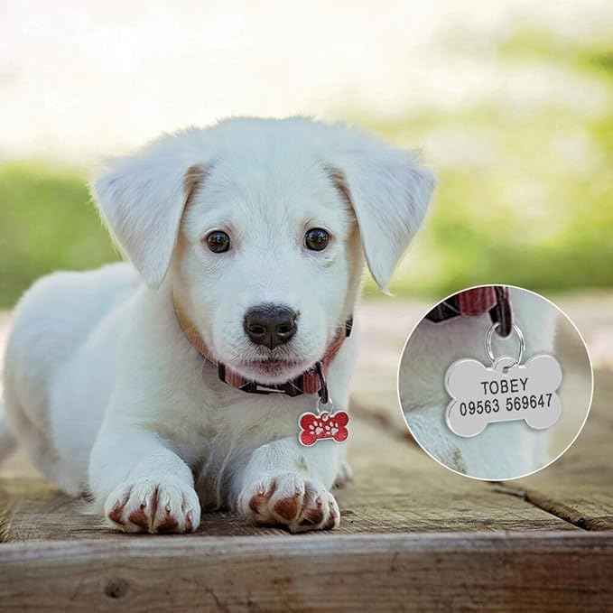 Personalized Dog Cute Paw Pet ID Tag for Pet Collar or Key Chain - cat Name tag, Personalized cat id tag, Kitten Name tag, Kitten id tag (Bone-Shaped-Small: Ocean Blue)