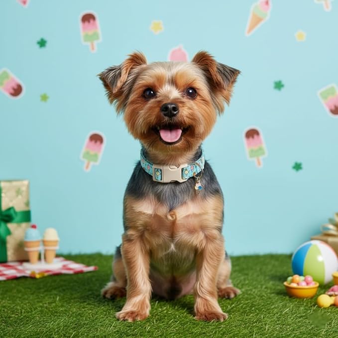 Dog Collars for Extra Small & Small Dogs, XS Dog Collar with Cute Ice Cream Print, Spring Summer Adjustable Puppy Collar with Adorable Charm and Quick Release Buckle, XS